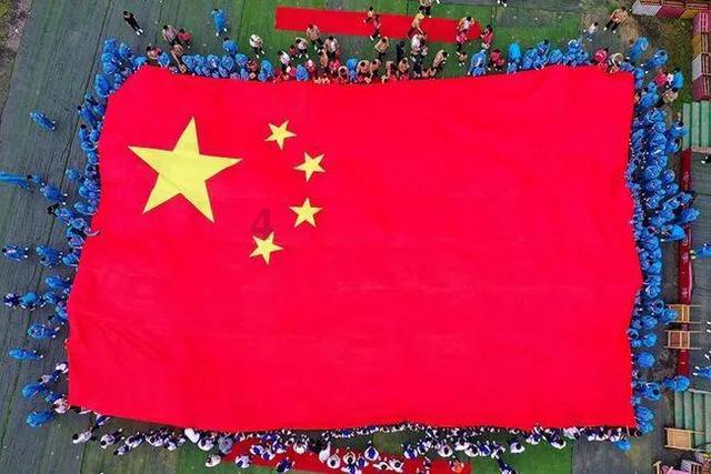 救援达尔马提亚狗
