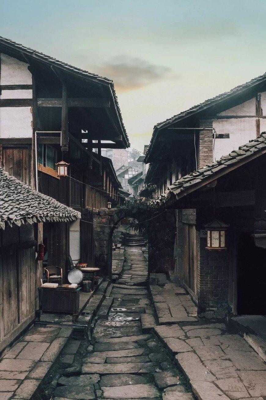 证券代码：002431    证券简称：棕榈股份    公告编号：2024-007
